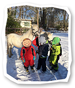 Kinder mit Pferden Kita auf 4 Pfoten